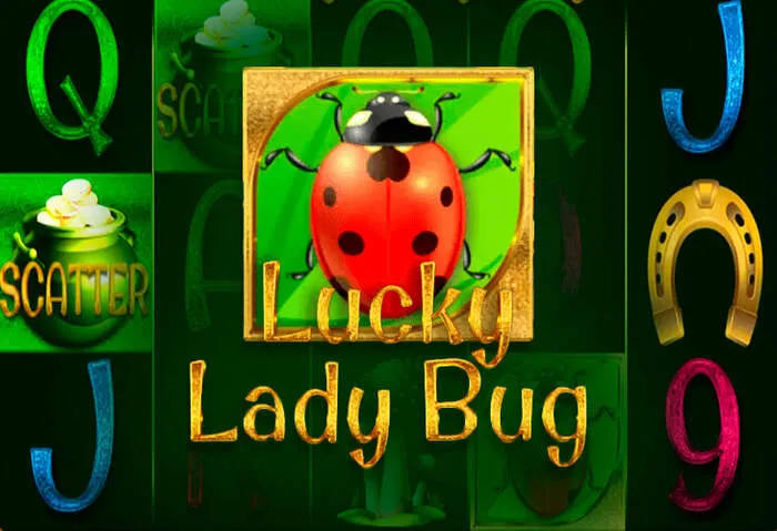 Programu ya Betwinner ya kubashiri michezo, tayari kupakuliwa na kutumiwa.