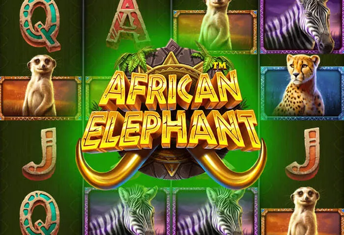 Mwongozo wa jinsi ya kupakua programu ya Betwinner Kasino ya Android.