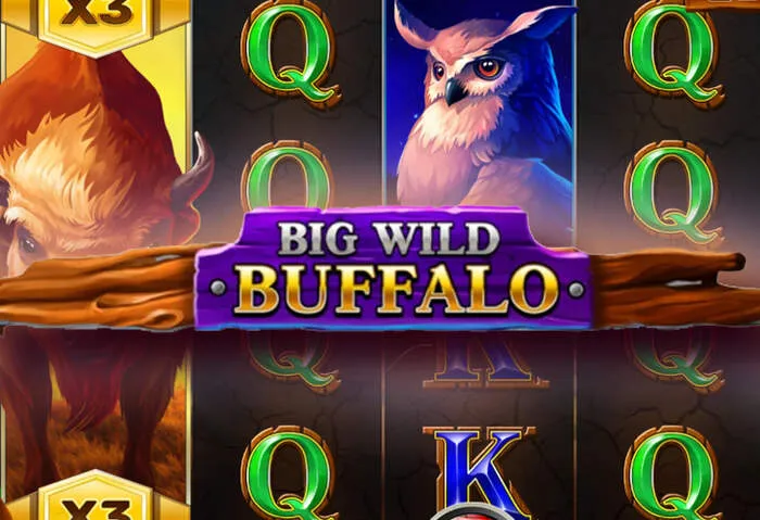 Michezo ya Jackpot kubwa na nafasi za kushinda Betwinner Kasino