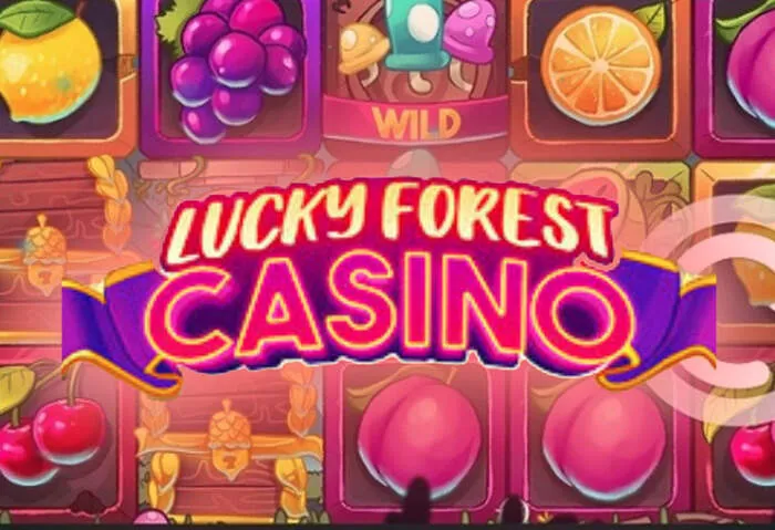 Güvenilir Betwinner casino indir bağlantısı